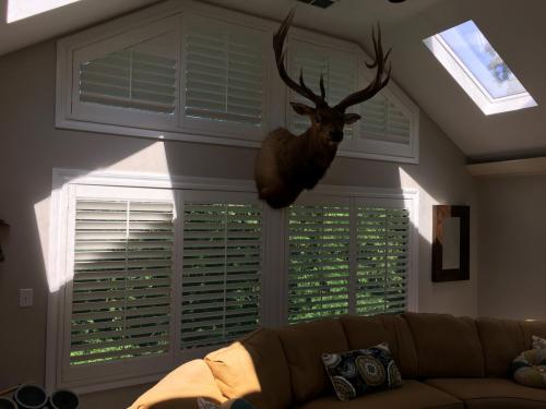 Blind Wizard - Plantation Shutters, Blinds, and Shades in West Virginia
